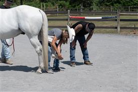 LR-WRF 762025 Retreat-1979